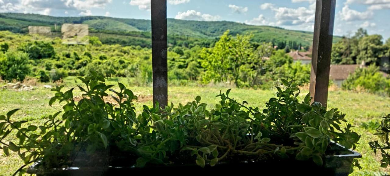 Casuta De Vacanta Minis I Villa Esterno foto